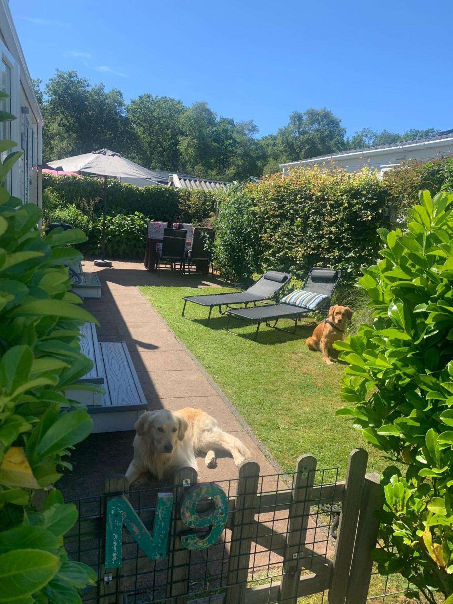 N 9Strandnahes, Hunde-Familienfreundliches Ferienhaus Каллантсог Экстерьер фото