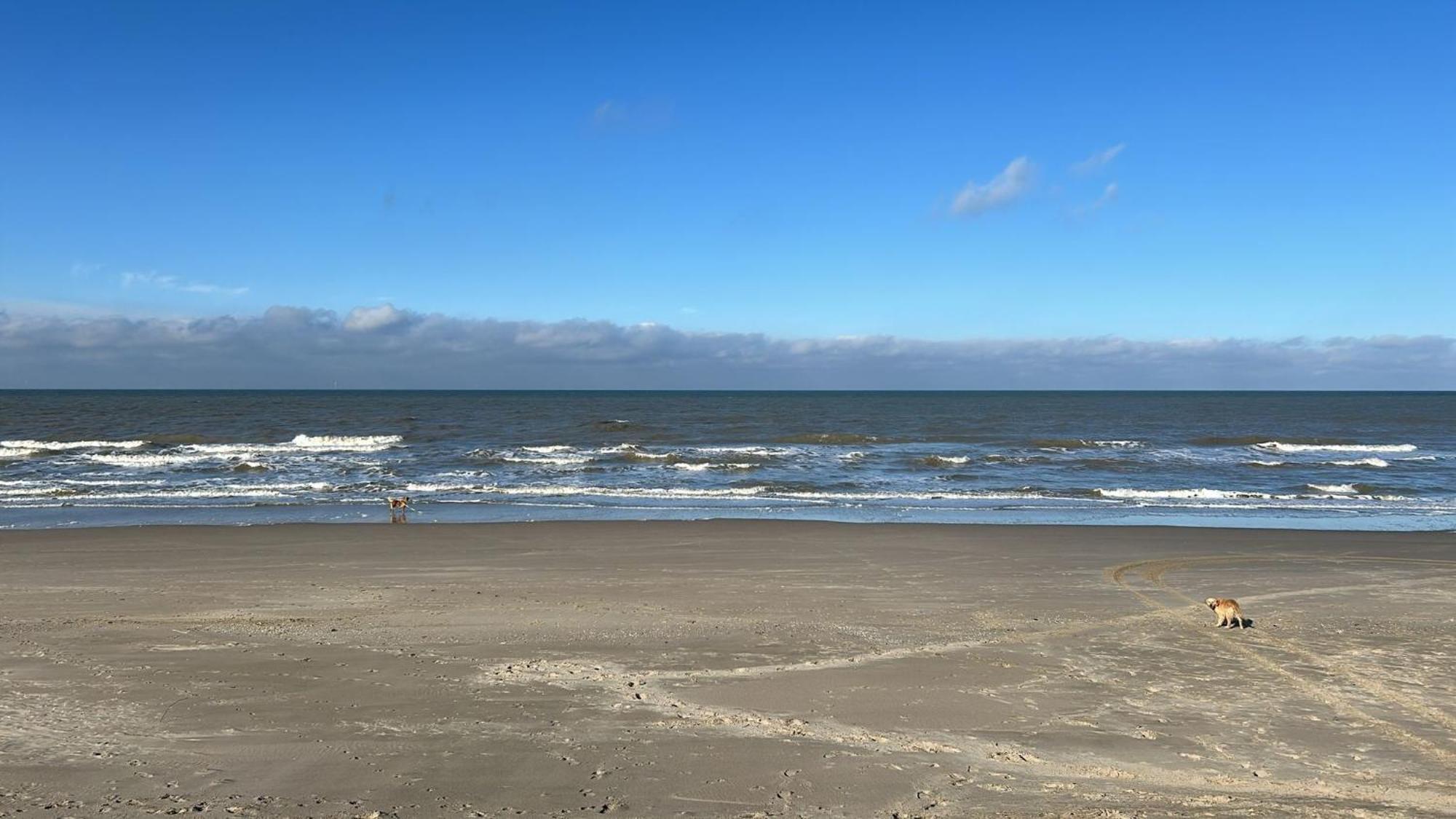 N 9Strandnahes, Hunde-Familienfreundliches Ferienhaus Каллантсог Экстерьер фото